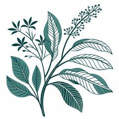 Flat vector Illustration of a foliage plant By