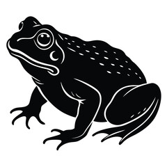 toad vector