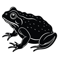 toad vector