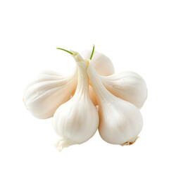 garlic isolated on white background