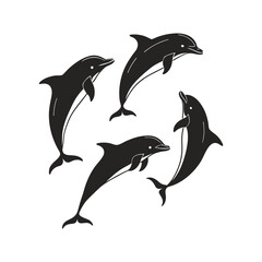 dolphin isolated on white background