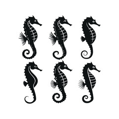 "Minimalist Seahorse Designs Ocean Fauna Illustration Bundle"
