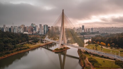 Obraz premium Modern cable-stayed bridge spanning city park