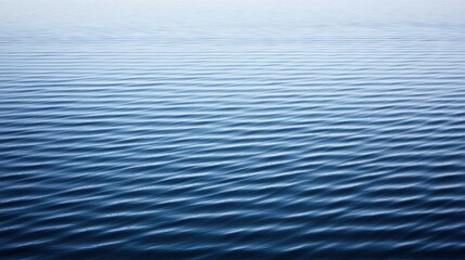 Naklejka premium The title is 