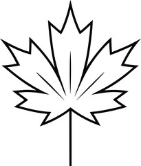 black and white abstract flower