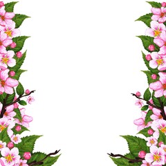 Delicate beautiful illustration with a blossoming apple tree branch. Watercolor illustration design element for decoration of cards, invitations, packaging design. 