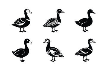 African Pygmy Goose bird, silhouette vector illustration