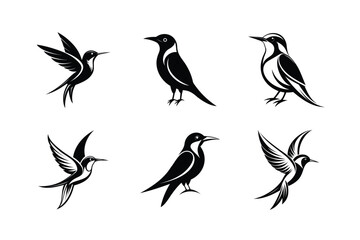 Bee-eater rbird, silhouette vector illustration