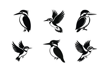 Belted Kingfisher bird, silhouette vector illustration