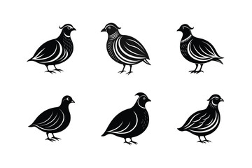 Japanese Quail bird, silhouette vector illustration