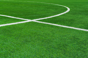 green grass on the soccer arena - line in soccer stadium.
