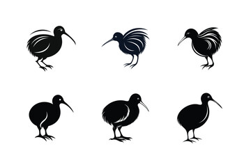 Fototapeta premium Kiwi bird, silhouette vector illustration
