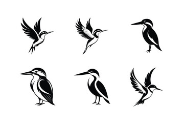 Malachite Kingfisher bird, silhouette vector illustration