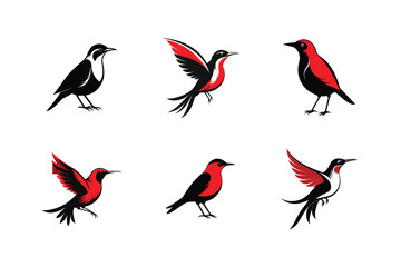 Red-legged Honeycreeper bird, silhouette vector illustration