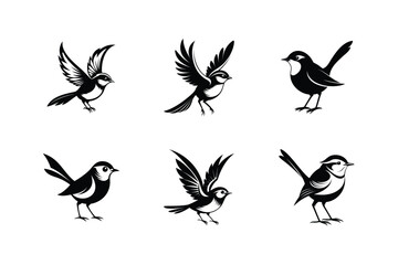 Superb Fairywren bird, silhouette vector illustration