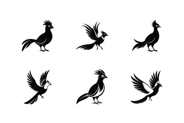 White-cheeked Turaco bird, silhouette vector illustration