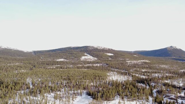 Snow-Laden Pine and Birch Trees in Ringebu&rsquo;s Arctic Forest