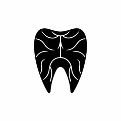 creative details Tooth line icon vector Illustration  