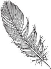 Obraz premium Abstract geometric vector feather isolated on white. 