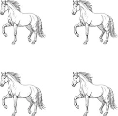Silhouette line art racing horse vector illustration on white background. 