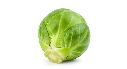 Brussels Sprout: A close-up studio shot reveals a vibrant green Brussels sprout. Showcasing the freshness of this culinary staple, perfect for health and wellness.