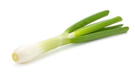 Fresh Scallion: A vibrant scallion showcases its crisp, fresh, and green leaves. This high-angle shot captures the natural beauty and culinary potential of this essential ingredient.