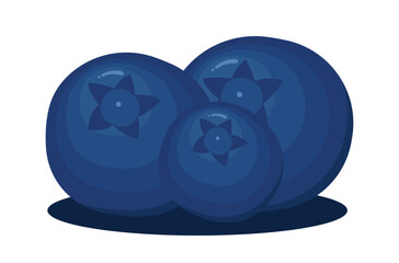 Three fresh blueberries. Perfect for packaging design, food branding, natural cosmetics, textile prints, and summer-themed projects.
