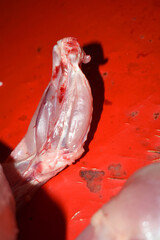 Fresh chicken for sale in the meat market.Fresh chickens for sale in a butcher shop.Chicken meat on the stall. selling chicken meat in traditional market. traditional chicken butcher stall.