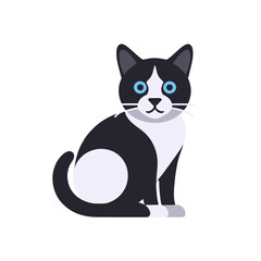 Fototapeta premium Black-and-White-Cat-Blue-Eyes-Illustration-Cute-Pet