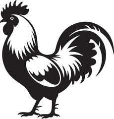 rooster isolated on white background