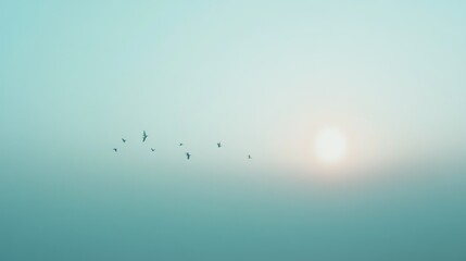 Birds flying in the sky near a bright and shining sun