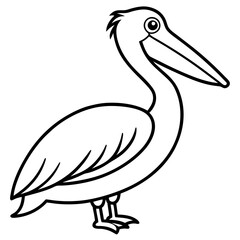 Minimalist Pelican Line Art Vector