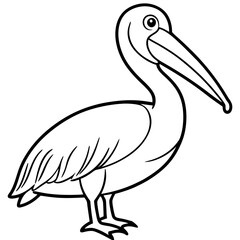Minimalist Pelican Line Art Vector