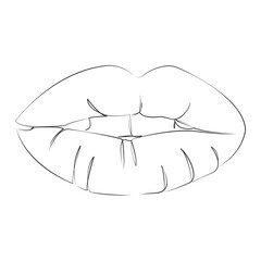 One continuous line art drawing flat illustration lip, beauty, female, mouth, smile, teeth. Isolated image hand draw outline on white background, not AI