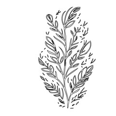 Delicate botanical sketch showcasing stylized leaves and branching stems on white