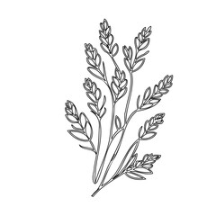 Elegantly illustrated wheat stalks, evoking a sense of rustic simplicity and organic beauty