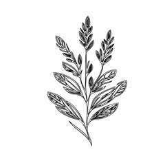 Minimalist botanical illustration of a stylized leafy plant on a white backdrop