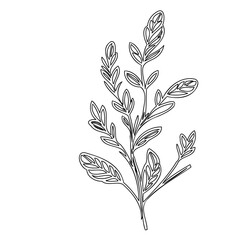 Elegant botanical illustration of a delicate foliage sprig in minimalist style