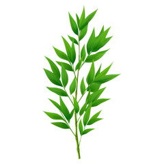 Fototapeta premium Lush Green Bamboo Stem with Vibrant Leaves and Natural Textures, isolated on transparent background.