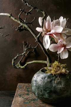 Elegant Magnolia Branch in Ceramic Vase