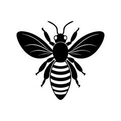 Bee Silhouette vector illustrator
