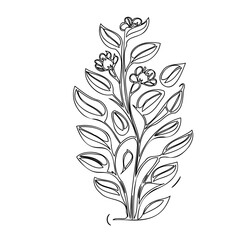 Elegant floral design with outlined petals and delicate blossoms illustration