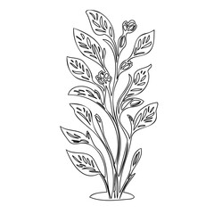 Minimalist botanical illustration: stylized leaves and floral contours in linear design
