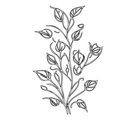 Elegant botanical sketch featuring delicate leaves and flowing organic lines