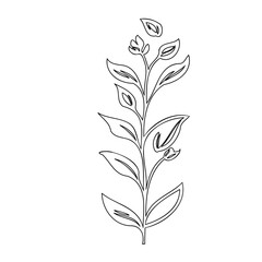 Minimalist line art illustration of a sprouting plant with leaves and buds