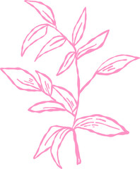 Fototapeta premium Flower and Leaf Line Art Pink Color Hand Drawn Sketch Style