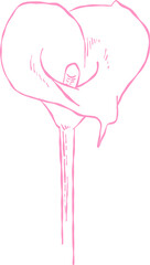 Flower and Leaf Line Art Pink Color Hand Drawn Sketch Style