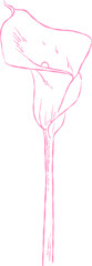 Flower and Leaf Line Art Pink Color Hand Drawn Sketch Style