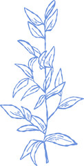 Flower and Leaf Line Art Blue Color Hand Drawn Sketch Style