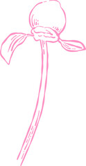 Flower and Leaf Line Art Pink Color Hand Drawn Sketch Style